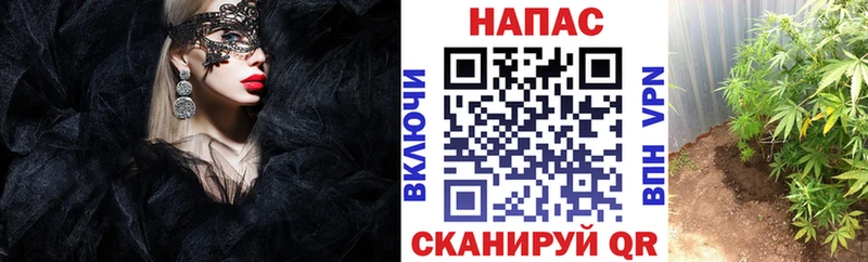 Наркошоп купить ГАШИШ  Cocaine  Меф  Высоковск