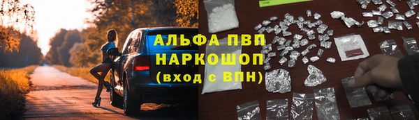 СК Краснослободск