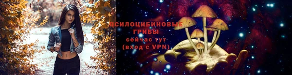 СК Краснослободск