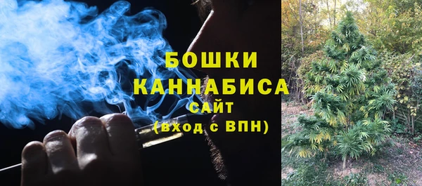СК Краснослободск