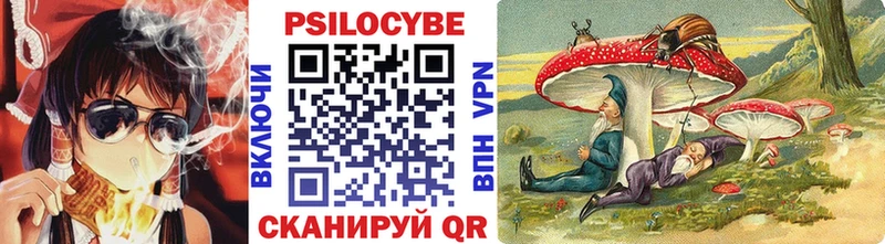 Псилоцибиновые грибы MAGIC MUSHROOMS  Купить где  Высоковск 