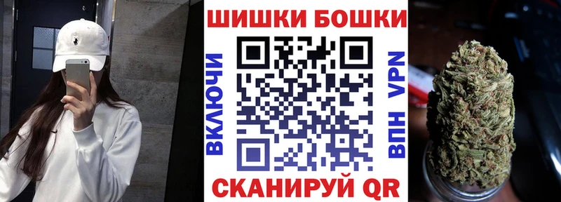Купить где Высоковск Каннабис ГИДРОПОН